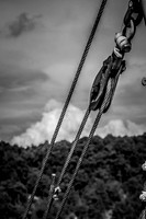 0616_8_bike_1776