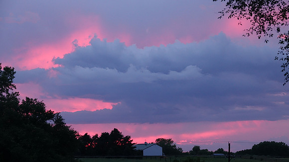 0818_28_sedan_2446