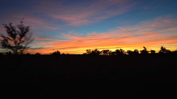 1015_antelope_7731