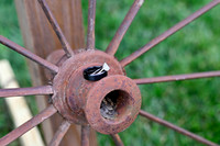 0626kluck_0020