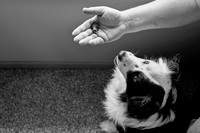 kluck_07_27_2026