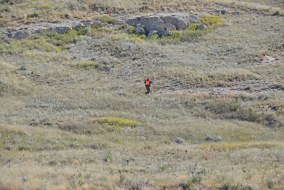 1015_antelope_7798