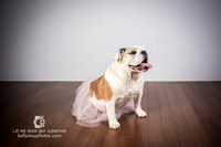 0718_kk_5781