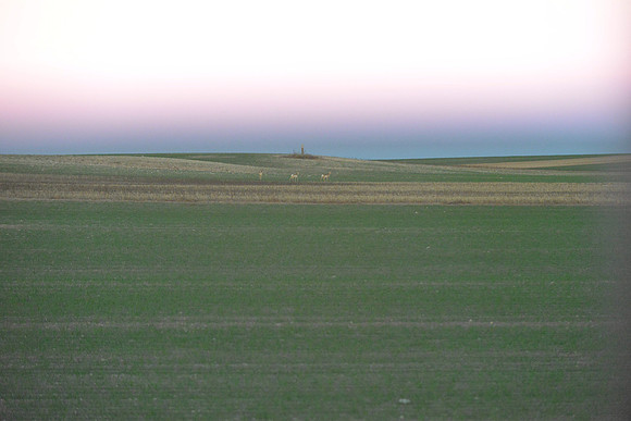 1015_antelope_7744