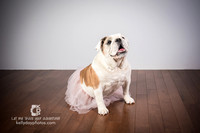 0718_kk_5772