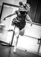 01_29_2017_showcase