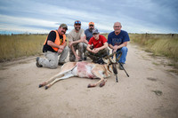 1015_antelope_7850-2