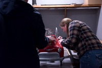 0317_lfr_5080