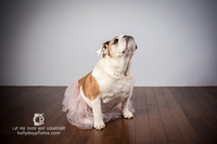 0718_kk_5768