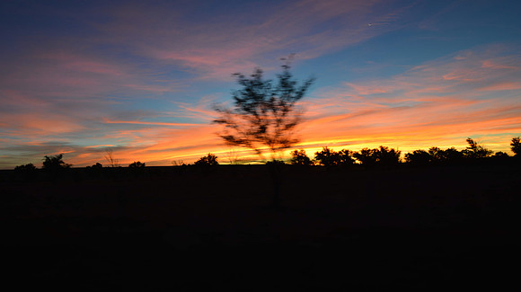 1015_antelope_7733