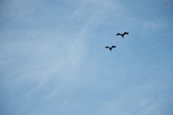 0518_tqfest_0282