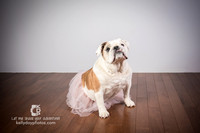 0718_kk_5773
