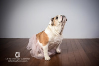 0718_kk_5767