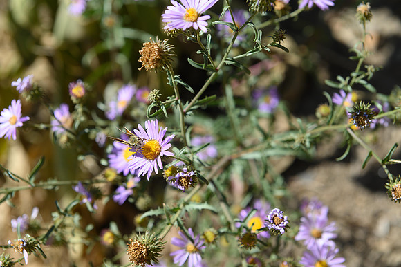 0919_hrhc_9063