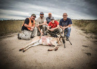 1015_antelope_7850