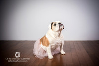 0718_kk_5771