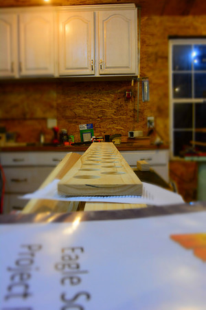 1113h_project_0205