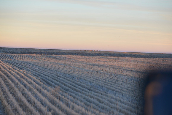 1015_antelope_7746-2