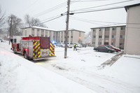 0219_lfr_9668