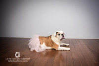 0718_kk_5796
