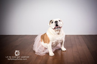 0718_kk_5777
