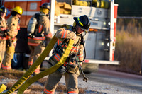 1019_lfr_-9466