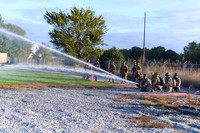 1019_lfr_-9561