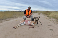 1015_antelope_7835