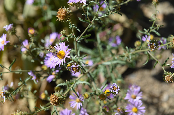 0919_hrhc_9064