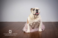 0718_kk_5731