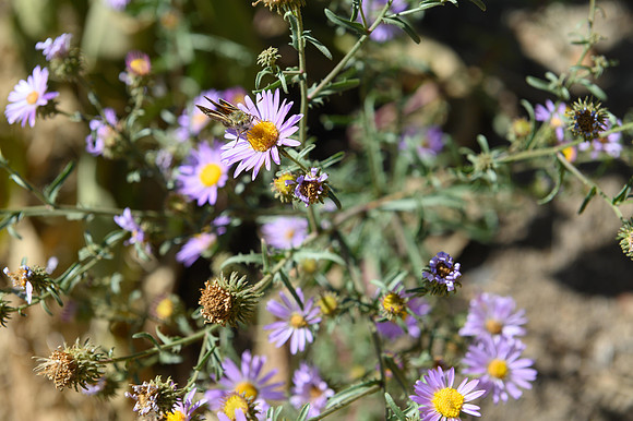 0919_hrhc_9065