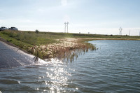 0616_sd_fish_3634