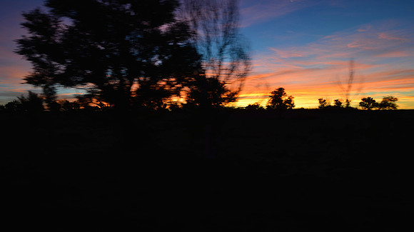 1015_antelope_7719