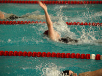 CHS Conference Swim/Dive 2011