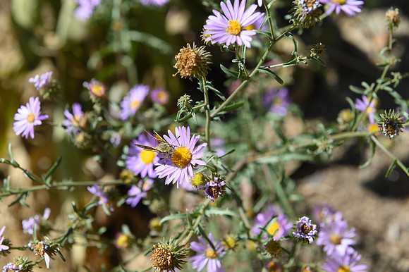 0919_hrhc_9062