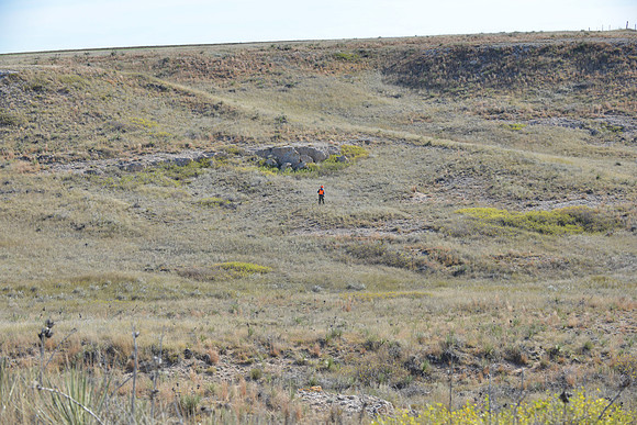 1015_antelope_7799