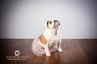0718_kk_5770