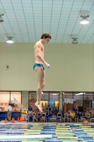 01_11_2014_dive
