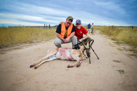 1015_antelope_7844-2