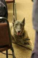 Medical Spec Training