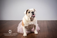 0718_kk_5740