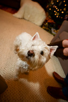1213_hellbusch_0086