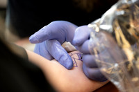 1124_tat_1467