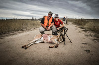 1015_antelope_7844-2-2