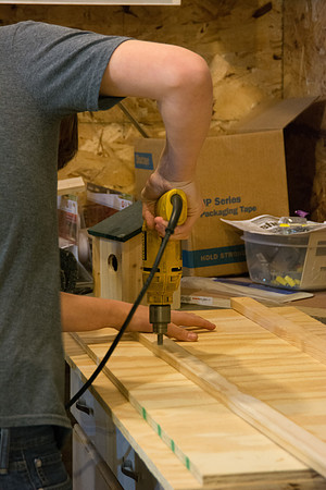 1113h_project_0121